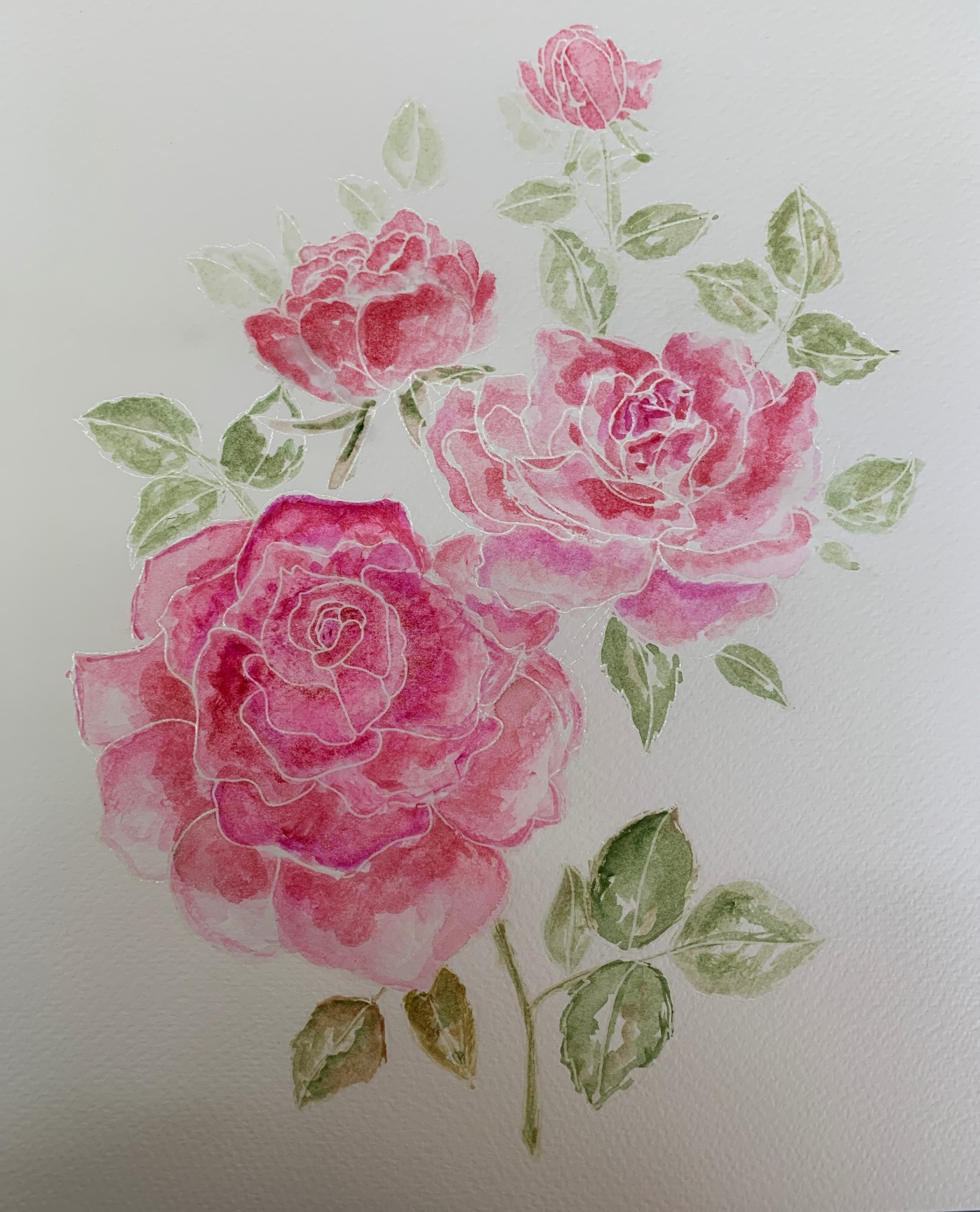 Watercolour trio of pink roses