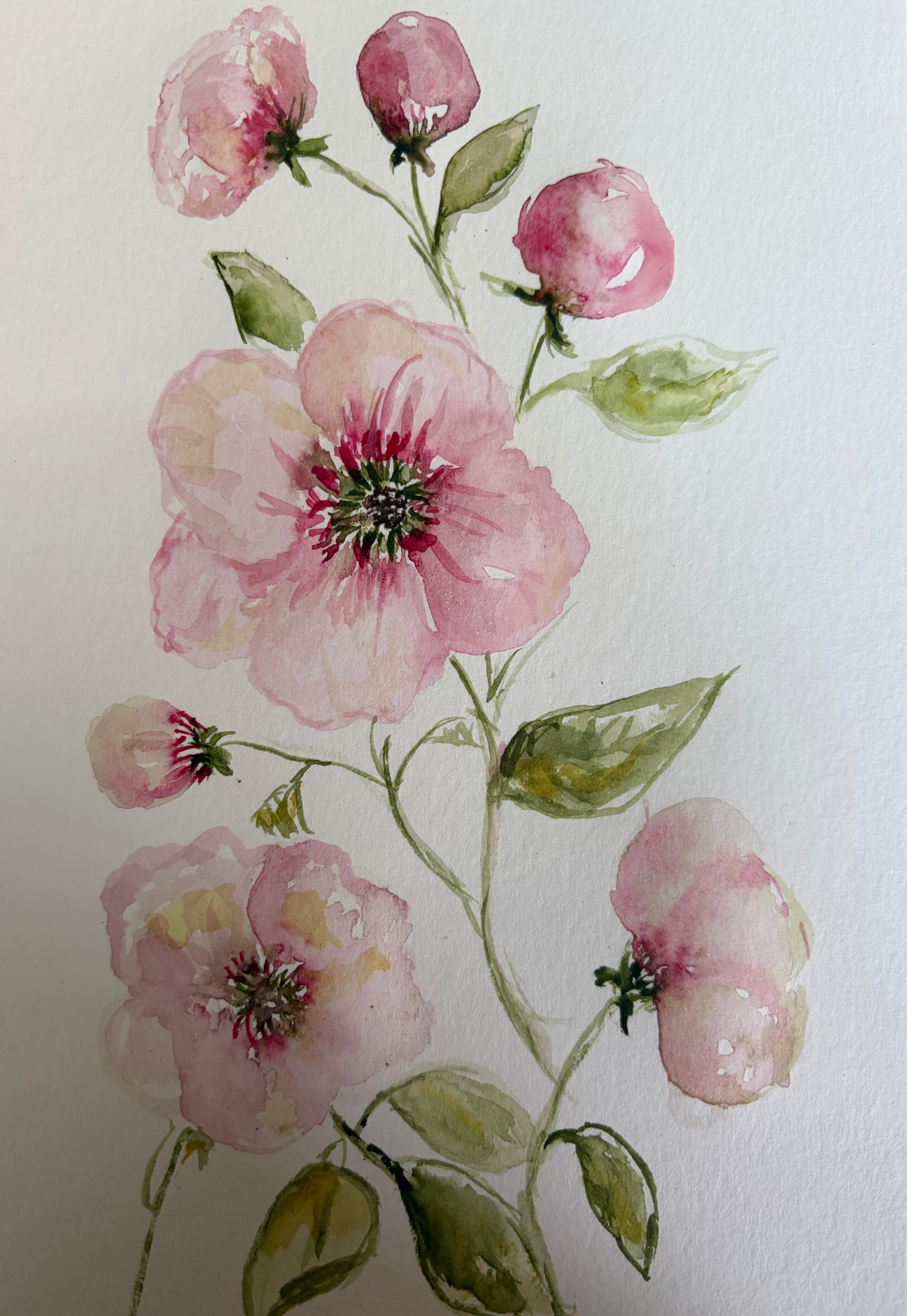 Watercolour of pink roses and buds