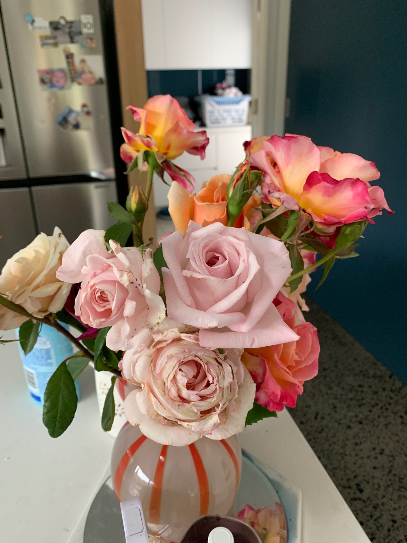 Mixed rose posy on the kitchen bench